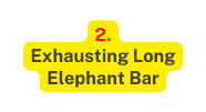 2 Exhausting Long Elephant Bar