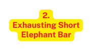 2 Exhausting Short Elephant Bar