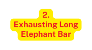 2 Exhausting Long Elephant Bar